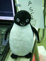 2007年10月5日 (金) 22:09時点における版のサムネイル