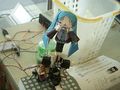2008年7月19日 (土) 10:18時点における版のサムネイル
